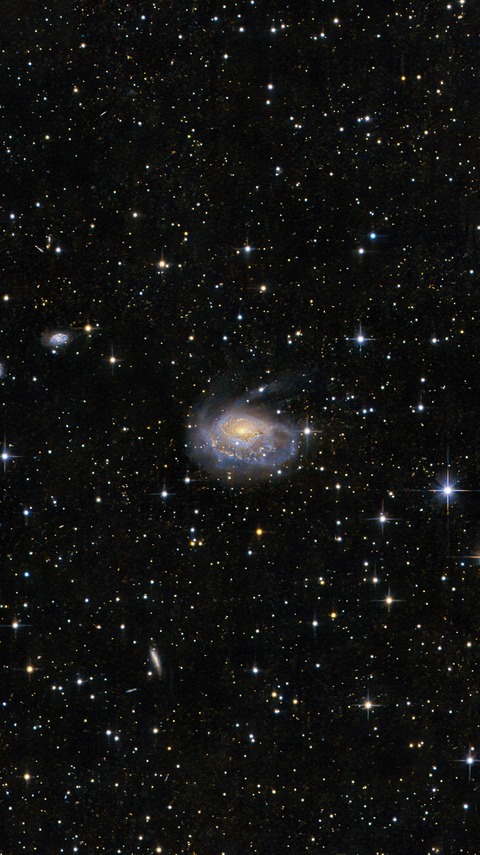 20251116 53NGC1961-100