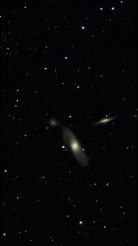 20230328 10NGC5566(３重銀河)