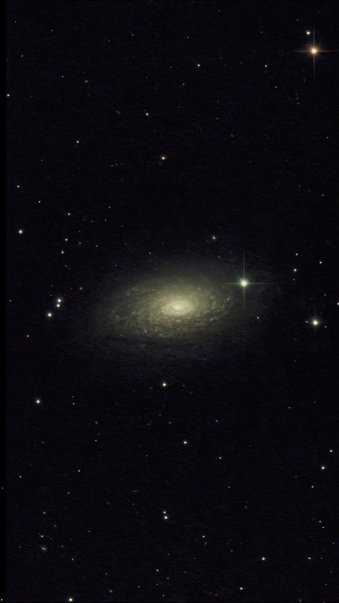 20230315 07M63(ひまわり銀河)