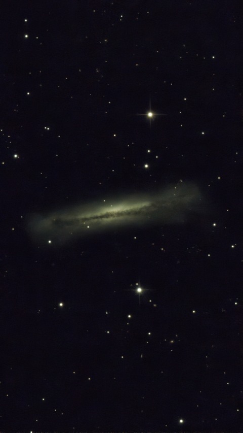 20230511 07NGC3628(しし座3重銀河のうち)