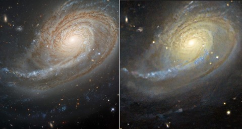 スクリーンショット 2024-10-24 022803