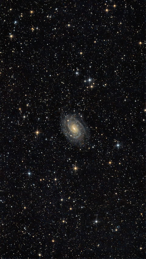 20240629 02NGC6384