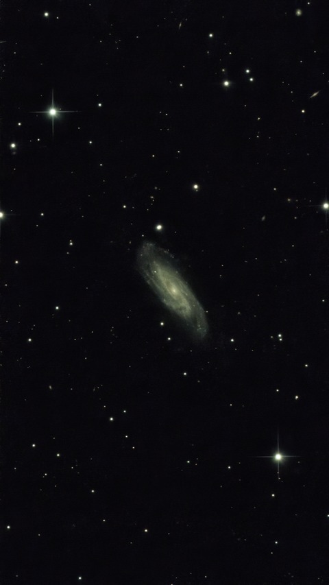 20230511 04NGC3198