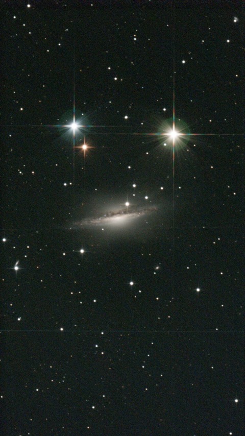 スクリーンショット 2024-10-14 024545