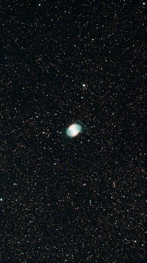 スクリーンショット 2024-06-28 010123