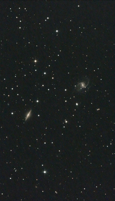 スクリーンショット 2024-06-12 005806