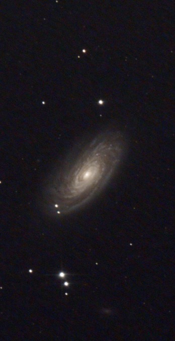 スクリーンショット 2023-03-28 030323