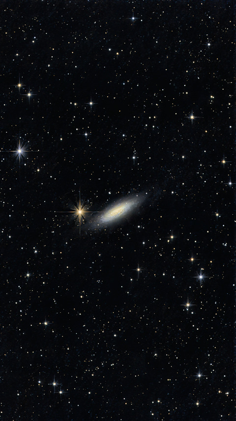 20240608 02NGC6503