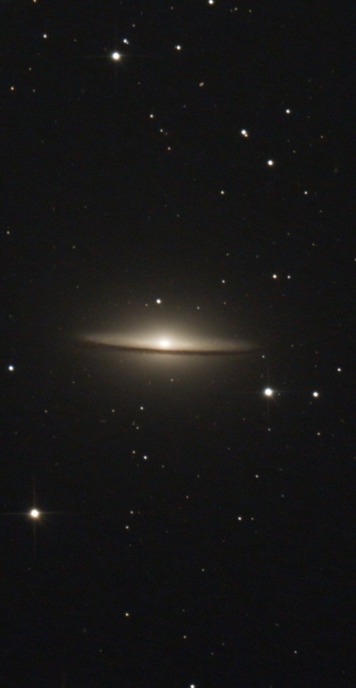 スクリーンショット 2023-03-28 012725