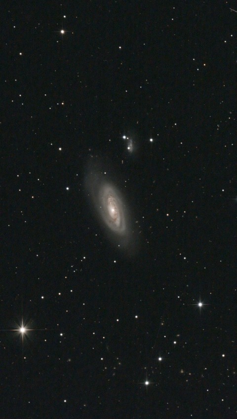 スクリーンショット 2024-03-10 034245