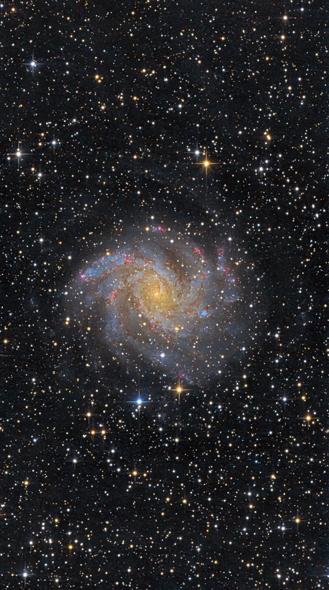 20250730 02NGC6946-100