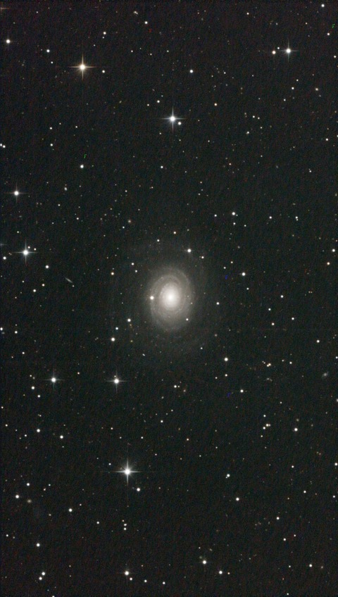 スクリーンショット 2026-02-20 235433