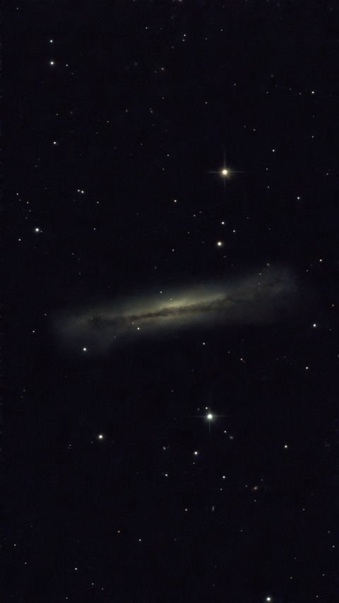 20230314 08NGC3628 (しし座3重銀河の内)