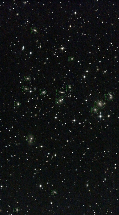 スクリーンショット 2024-05-03 020757