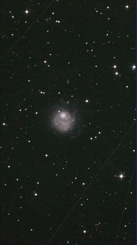 スクリーンショット 2025-05-29 020424