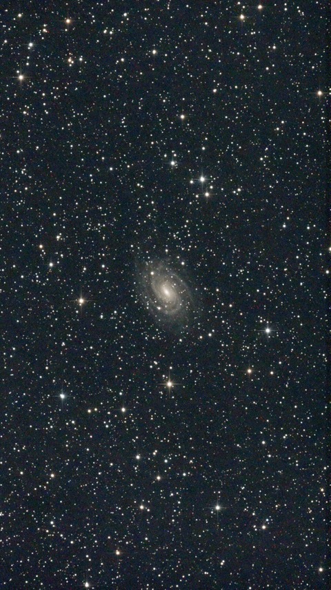 スクリーンショット 2024-06-29 235403