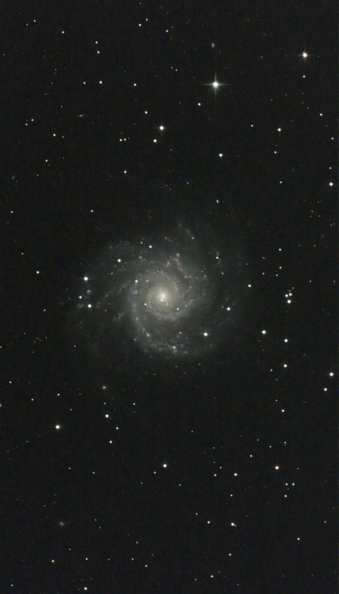 スクリーンショット 2024-10-06 021509