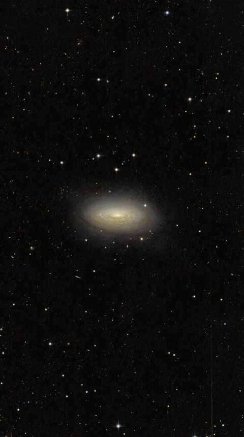 20260317 03NGC 3675-100-2