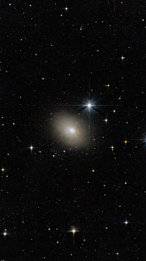 20260221 01NGC 3077-100