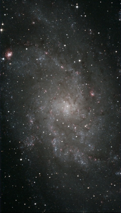 スクリーンショット 2024-11-25 222141