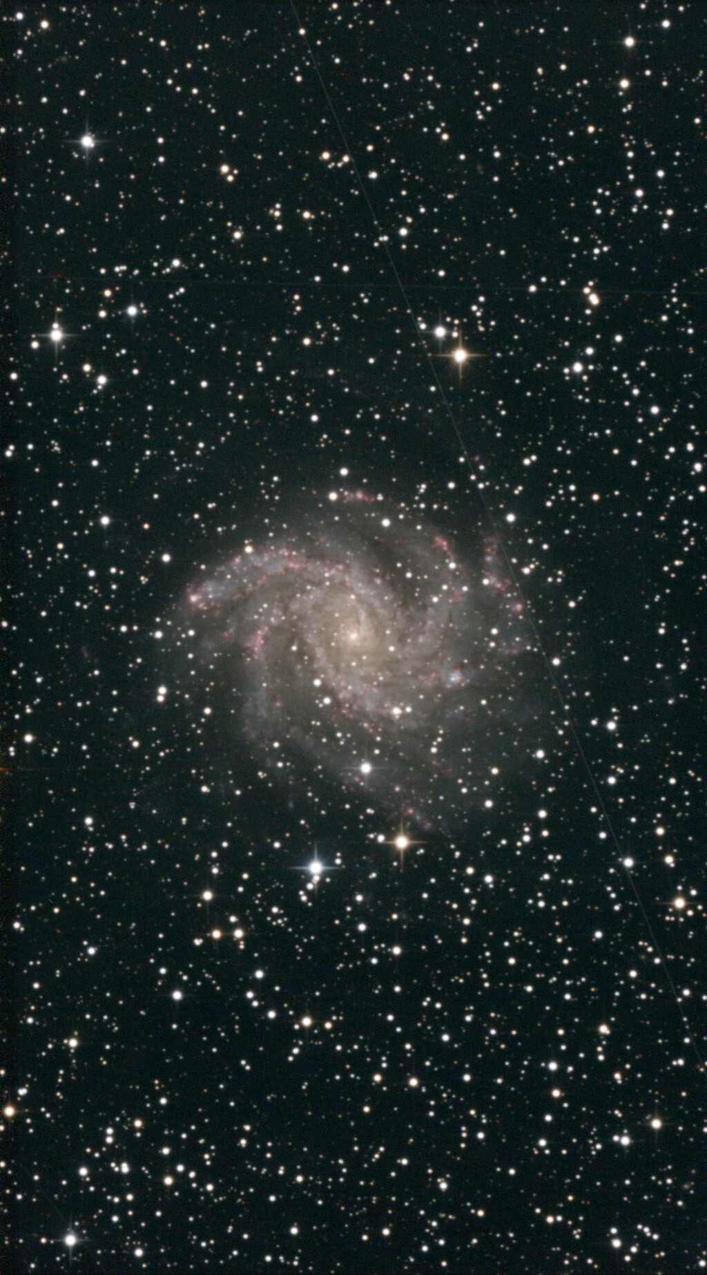 ☆07/29-30 30cm鏡LiveStack ③～ 美しさの極致 NGC6946(Fireworks