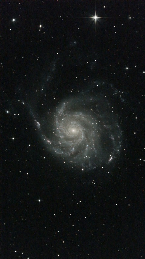 スクリーンショット 2024-04-08 005627