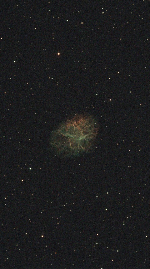 スクリーンショット 2024-11-04 040752