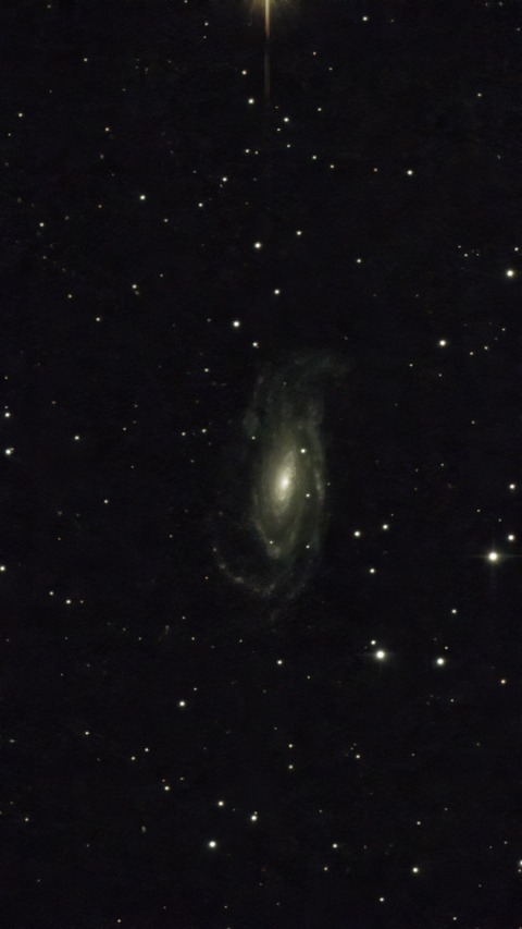 20230618 05NGC5033(Waterbug Galaxy)