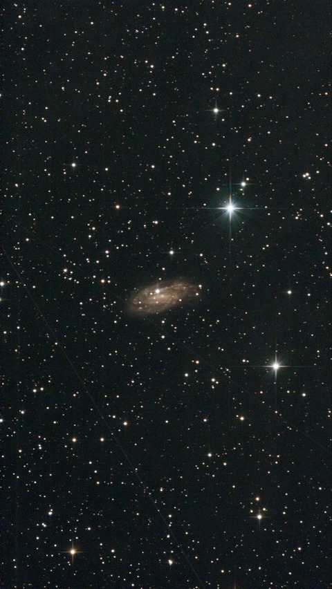 スクリーンショット 2024-10-12 041225