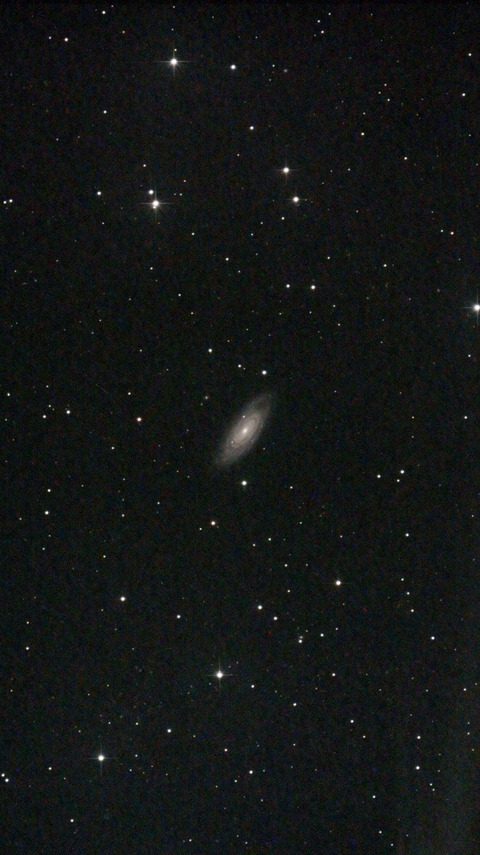 スクリーンショット 2024-08-09 014018