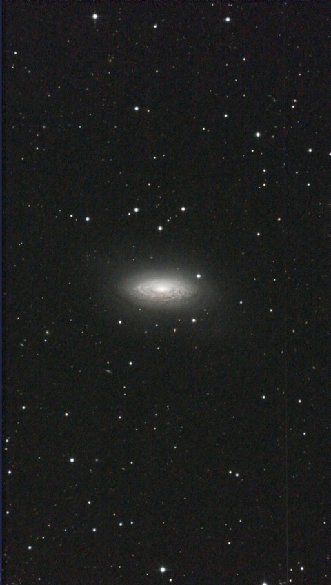 スクリーンショット 2026-03-18 014801