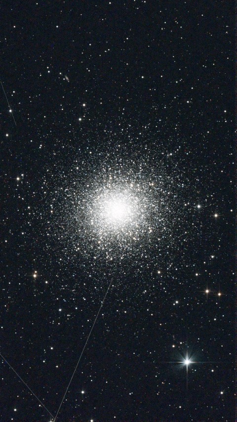 スクリーンショット 2024-06-08 022928