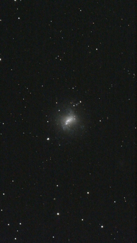 スクリーンショット 2024-04-05 035251