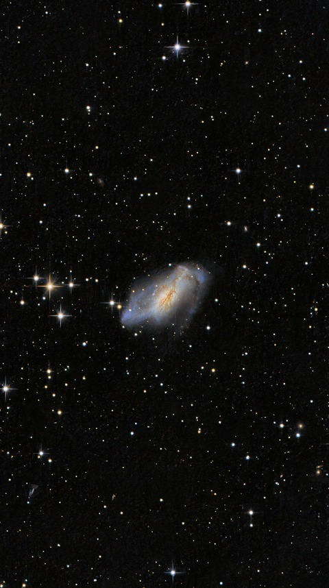 20251222 03NGC2146-4-100