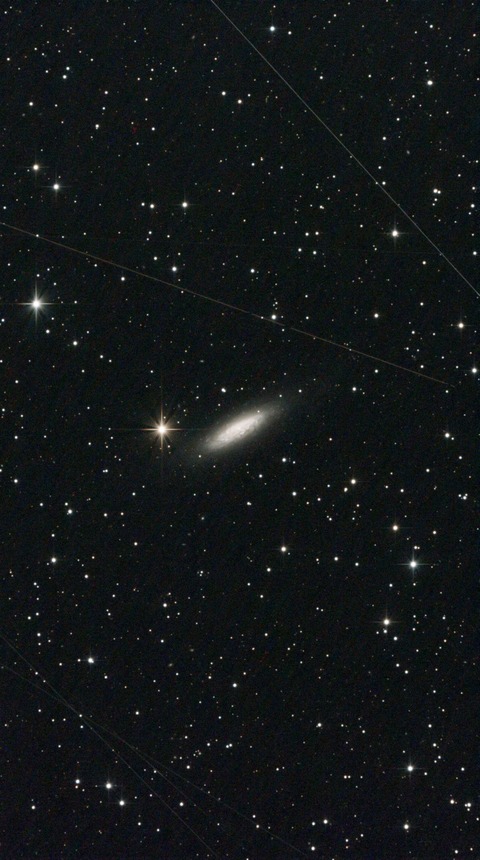 スクリーンショット 2024-06-08 020220