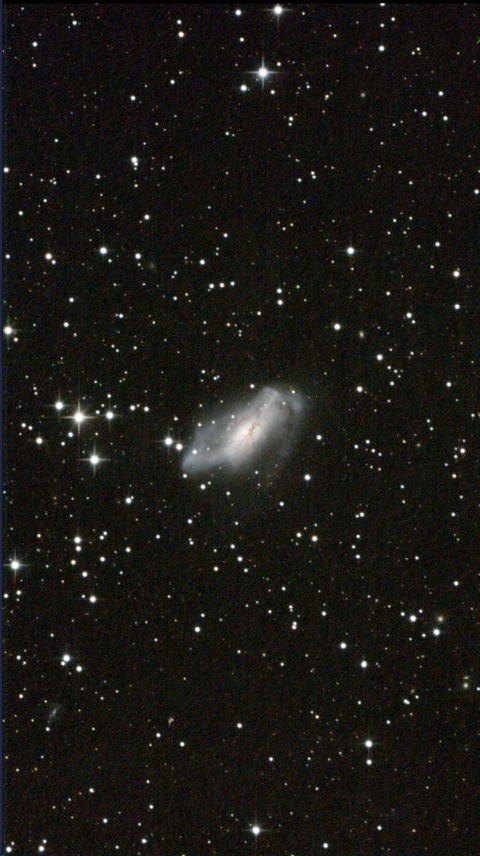 スクリーンショット 2025-12-23 003404