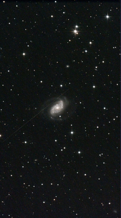 スクリーンショット 2024-05-15 012635