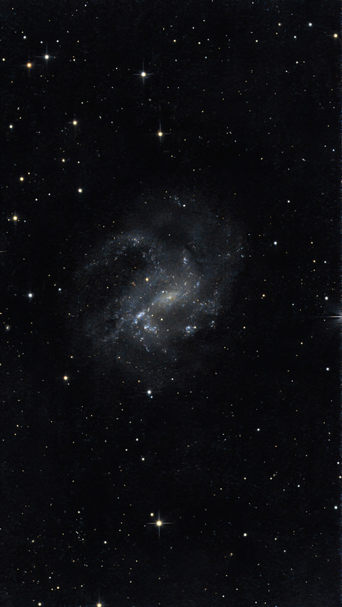 20240310 02NGC4395