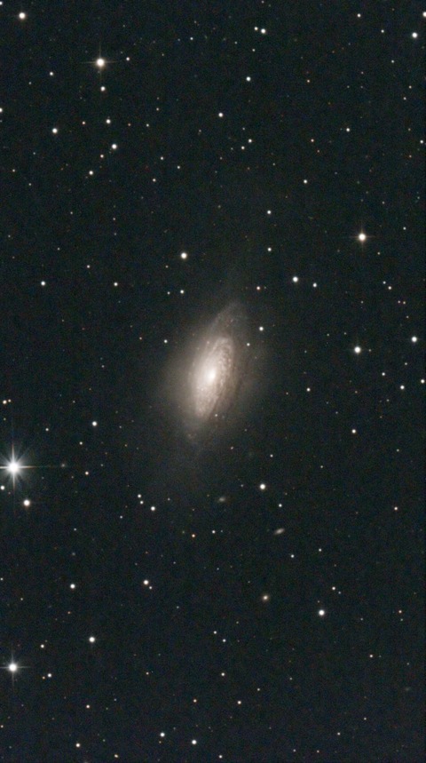 スクリーンショット 2024-03-15 012045