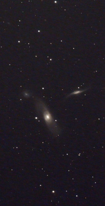 スクリーンショット 2023-03-28 034532