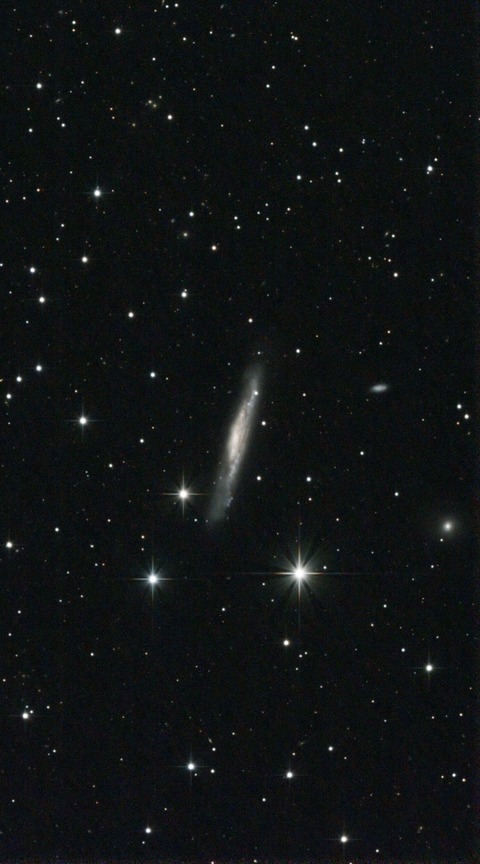 スクリーンショット 2024-04-10 225236