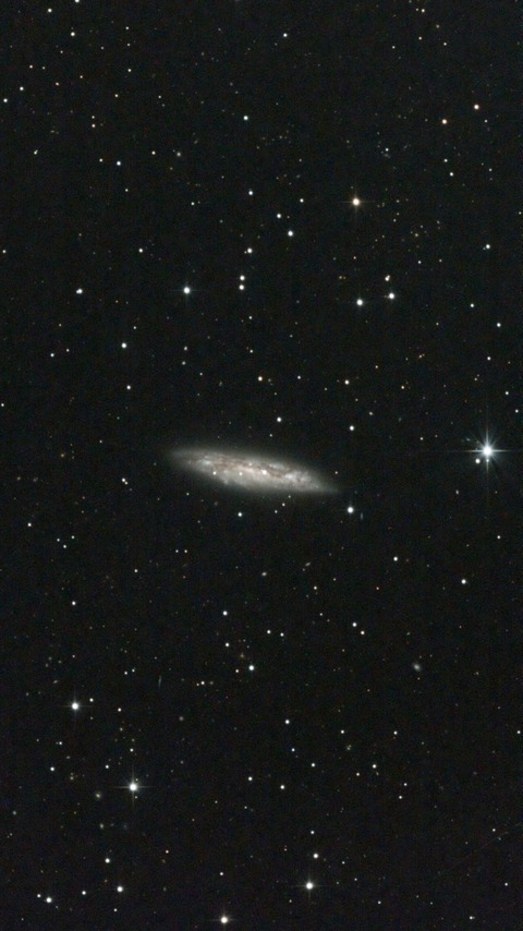 スクリーンショット 2024-05-02 231435