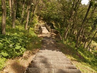 20180924DSCN3533