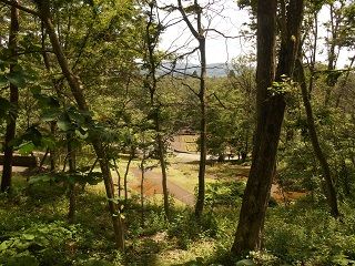 20180921DSCN3534