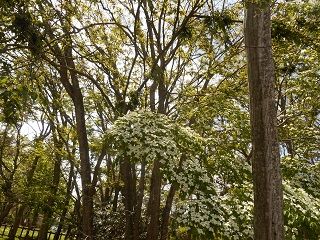 20181014DSCN3528