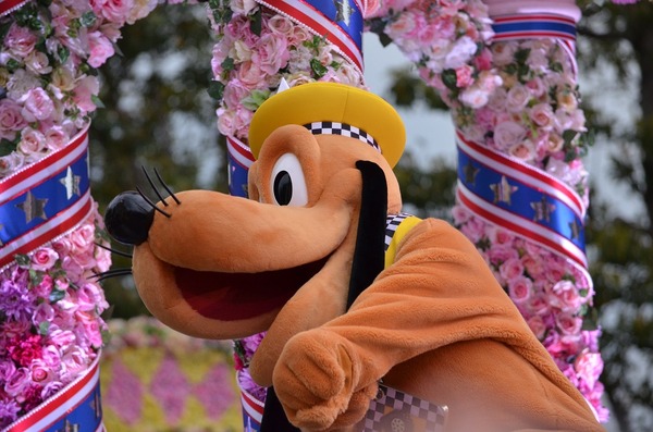 2014春熊3 338