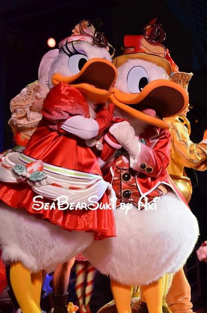 2016クリスマス8 436