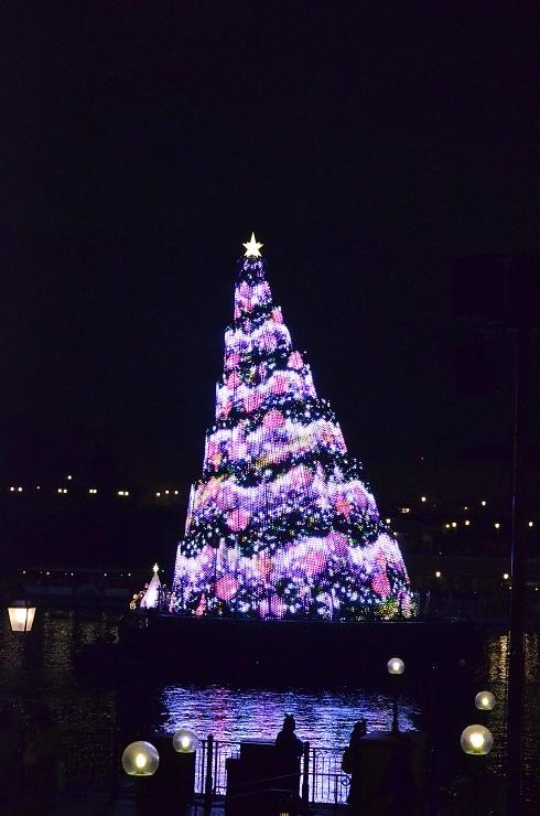 2018クリスマス2 697