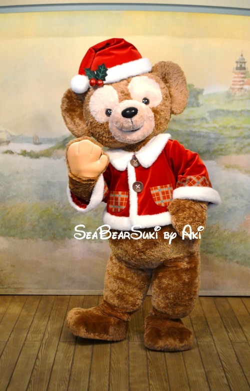 2016クリスマス6 797