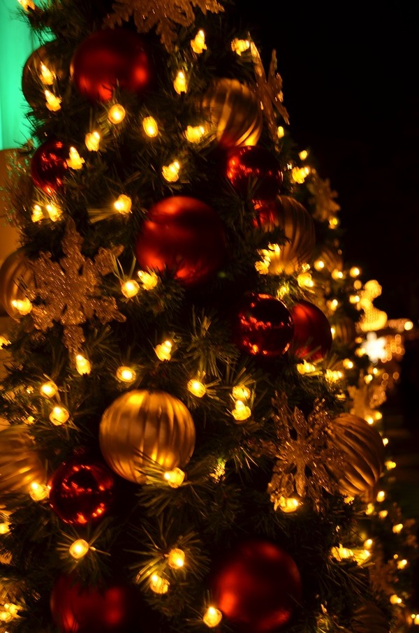 2014クリスマス4 978
